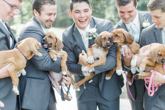 How to Plan a Dog-friendly Wedding